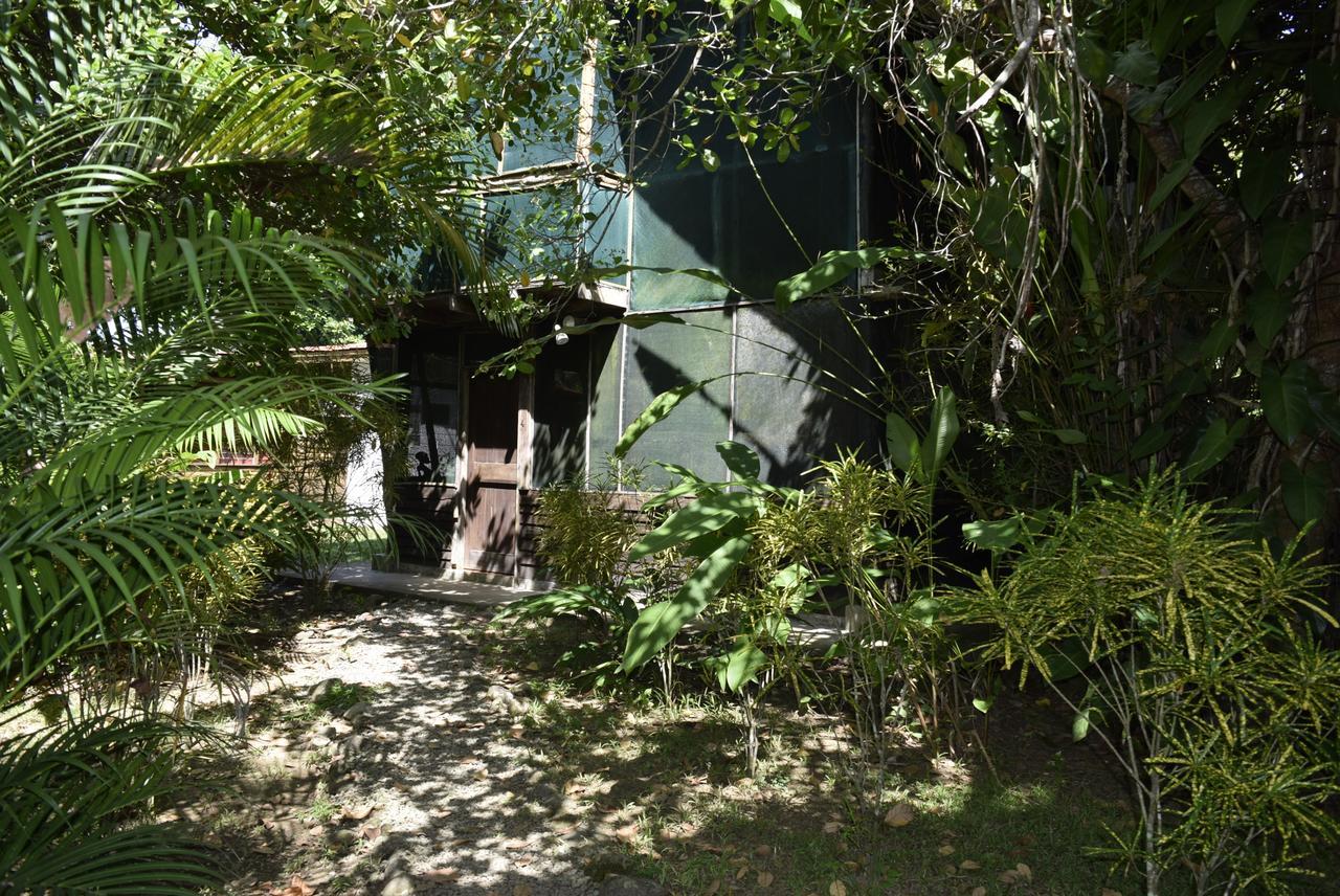 Villas Maria Luisa Uvita Extérieur photo